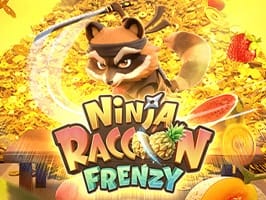 Ninja Raccoon Frenzy screenshot